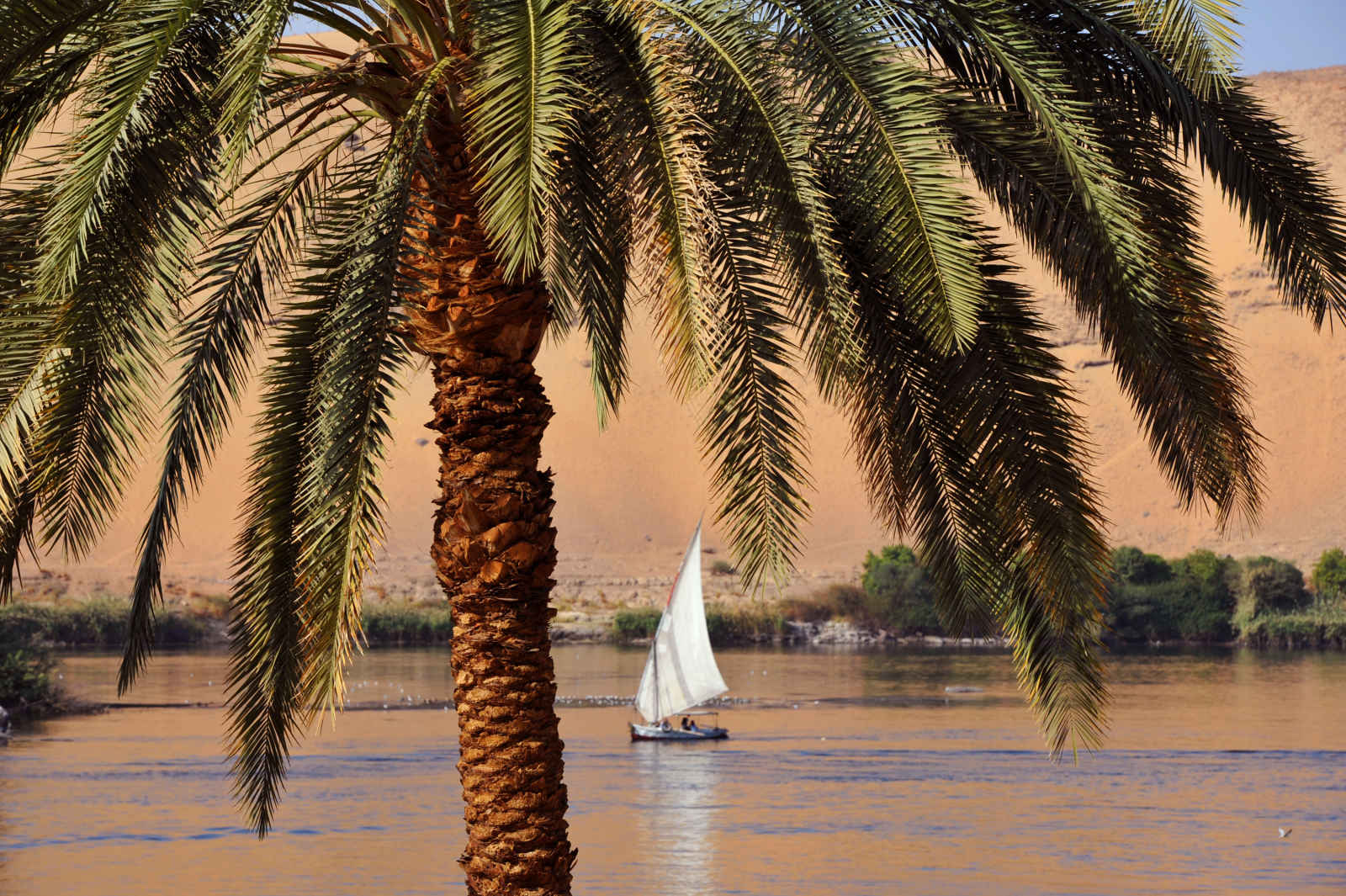 Felouque à Assouan, Égypte - © oversnap / iStock