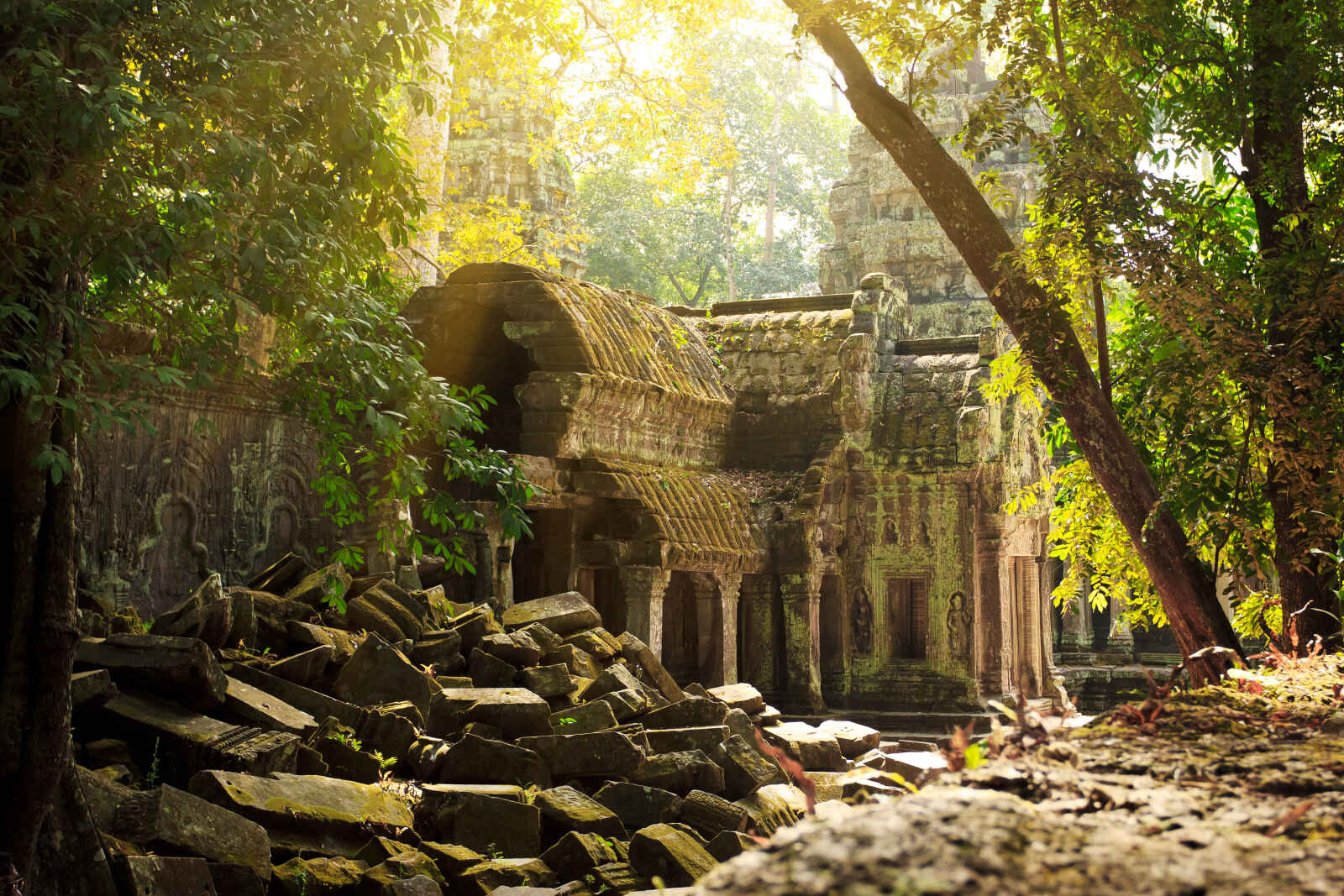Temple Ta Phrom, Angkor Wat, Siem Reap, Cambodge
