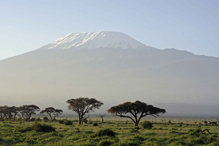 Tanzanie : Souvenirs du Kilimandjaro en privé