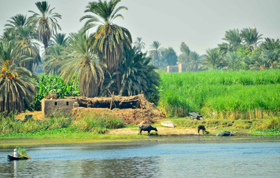 Paysage le long du Nil, Egypte
