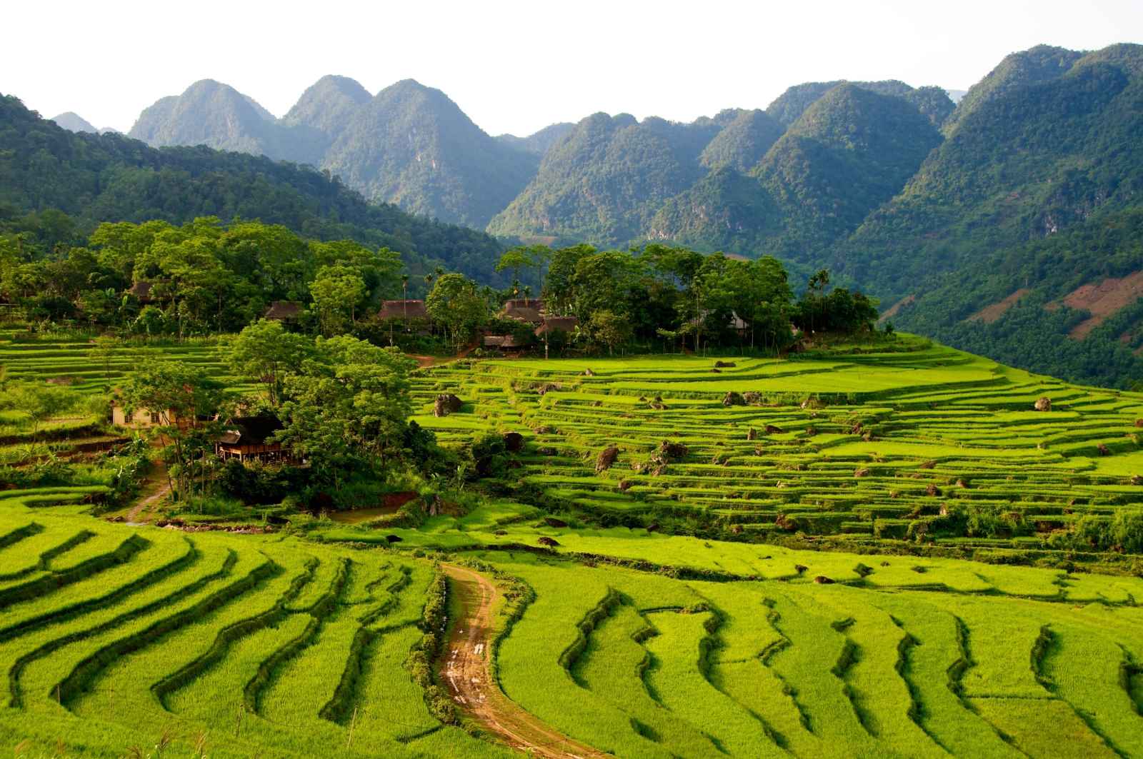 Rizieres en terrasse, Pu Luong Réserve naturelle, Thanh Hoa