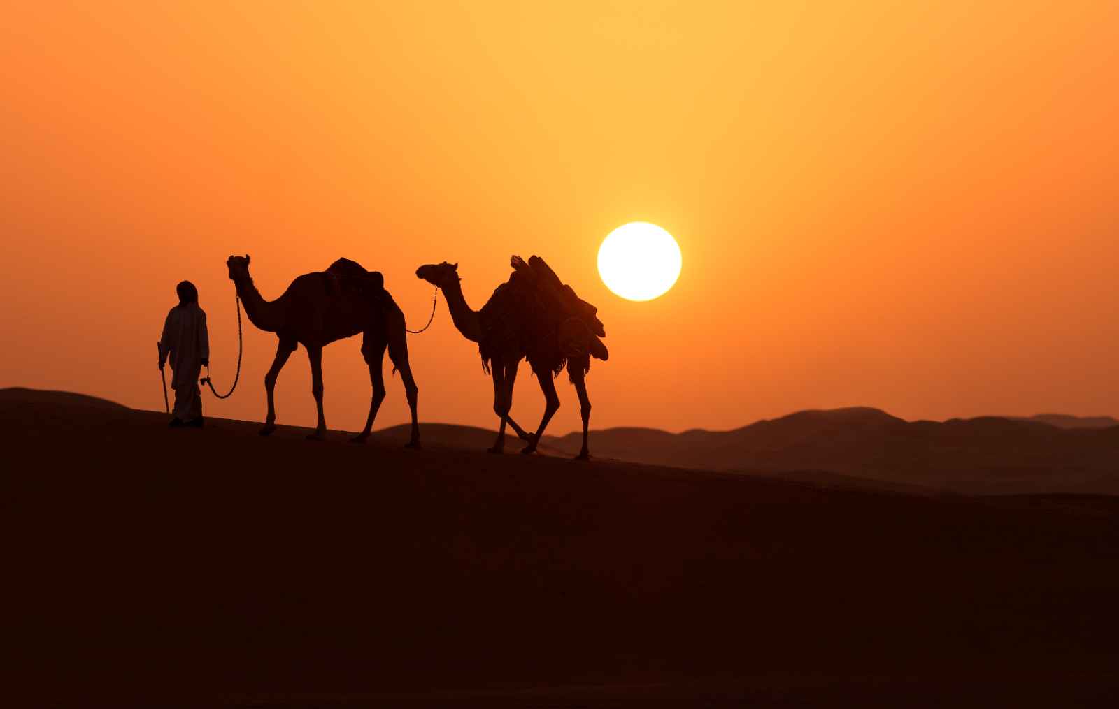 Homme avec chameaux dans le désert - Dubai