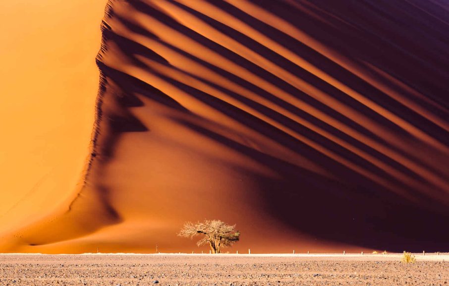 Dune 45, Sossusvlei, Parc national de Namib-Naukluft, Namibie