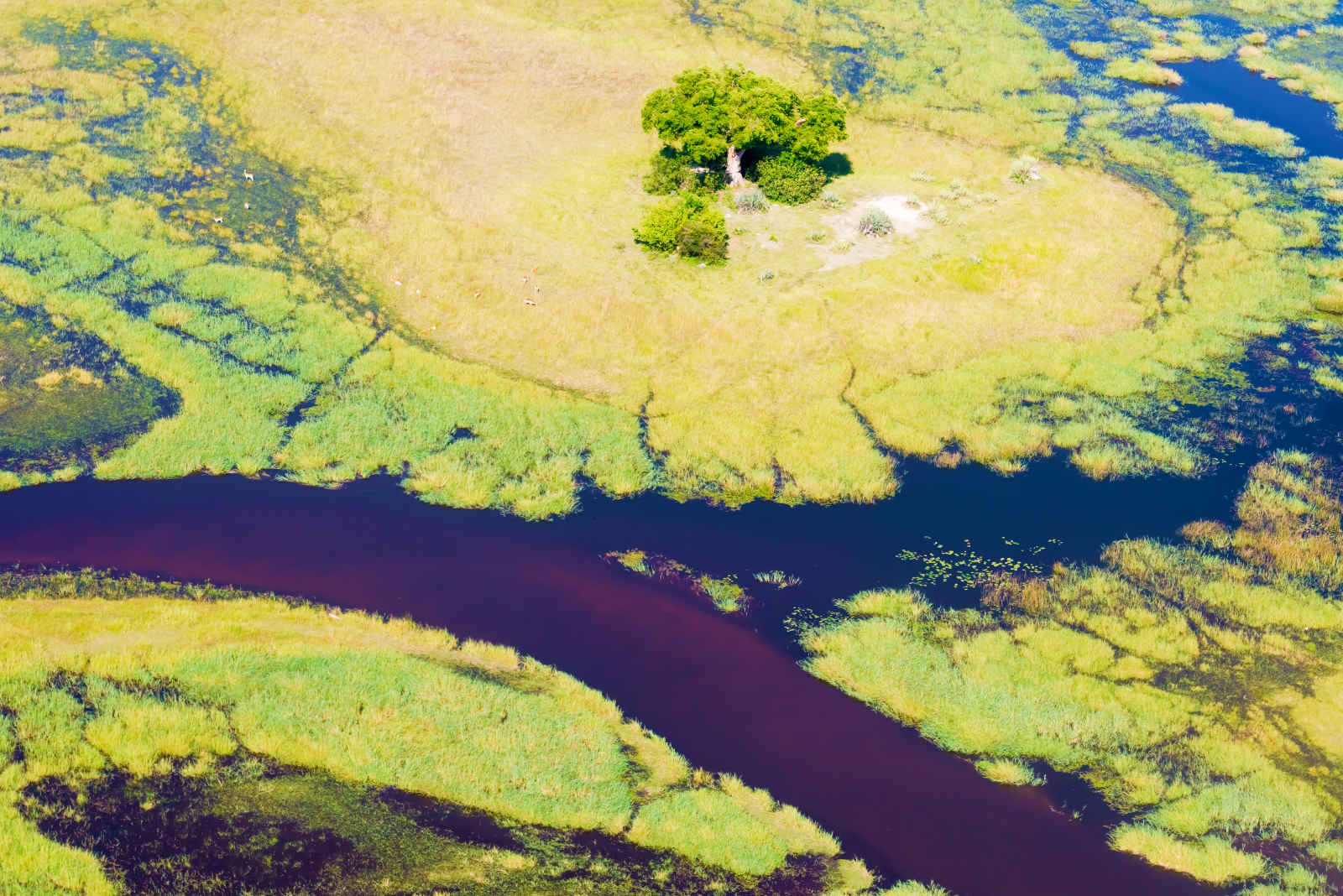 Delta de l'Okavango, Bostwana