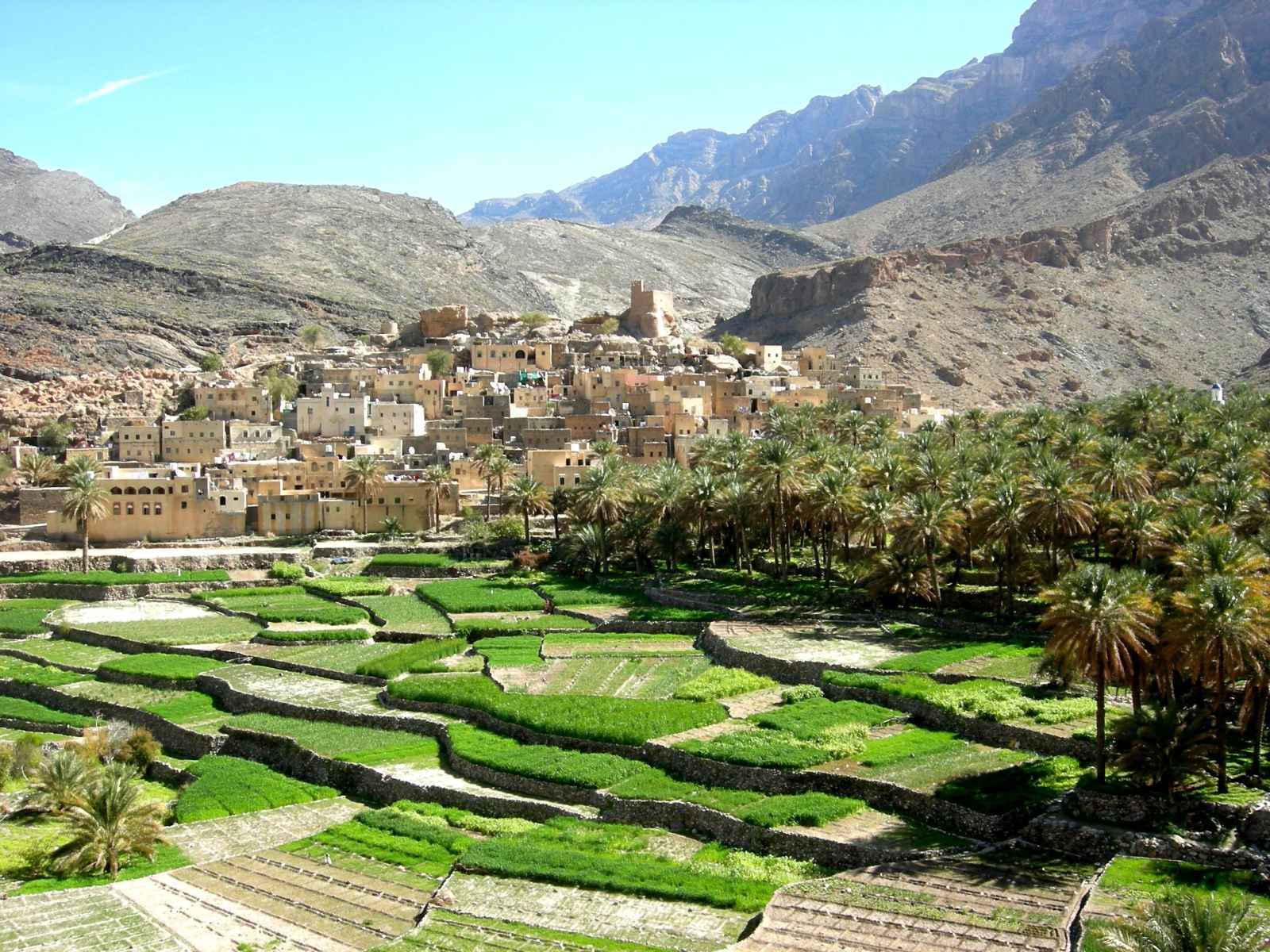 Oman : Expérience omanaise 2022