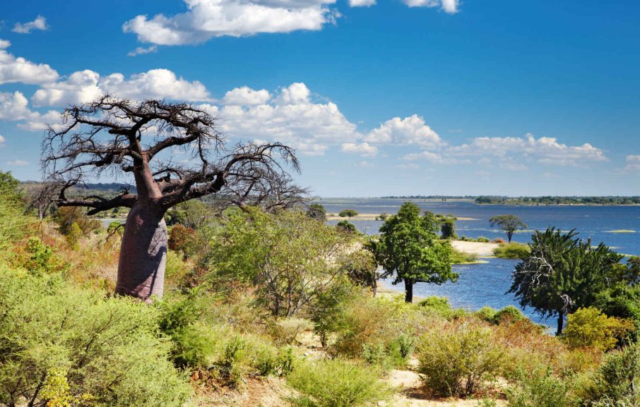 Fleuve Chobe, Botswana