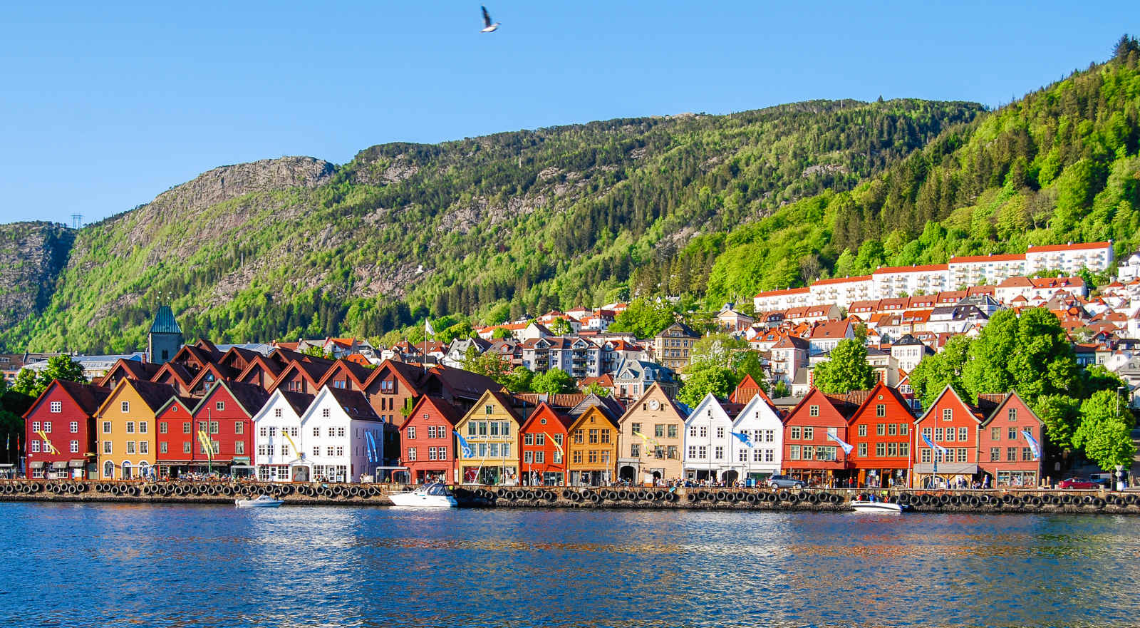 Norvège : Fjords de Norvège