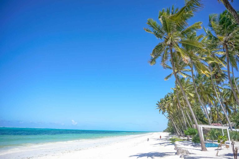 Zanzibar : Indigo Beach