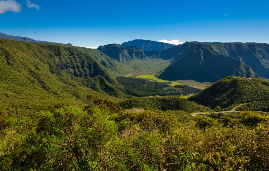 Plaine des Palmistes, La Réunion