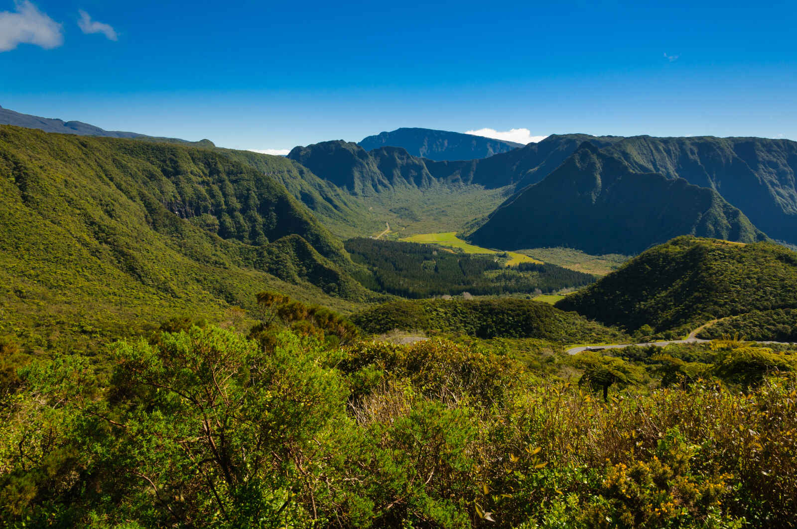 Île de la Réunion : A l'ombre des Tamarins