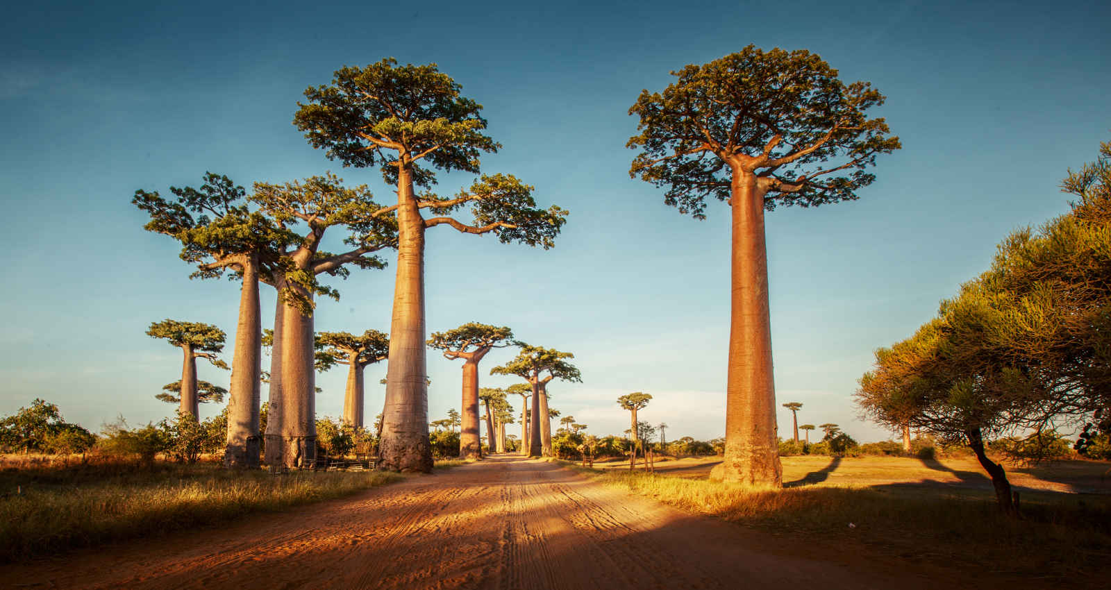 Aventure à Madagascar