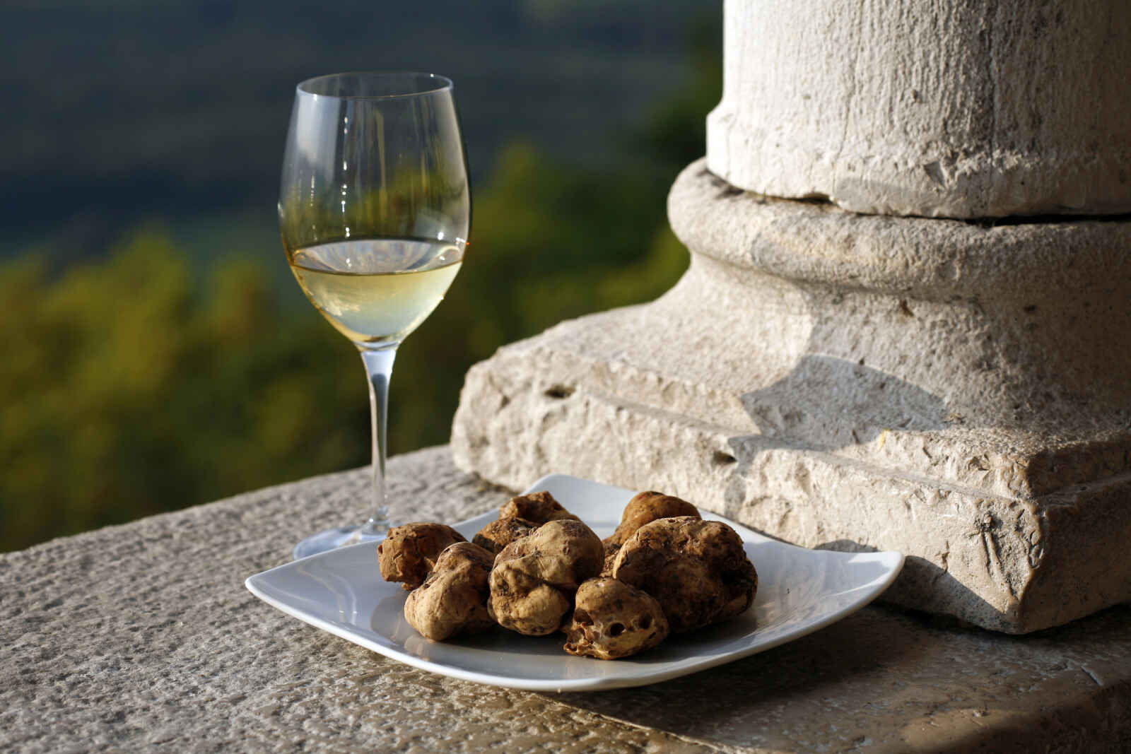 Truffes blanches Plat Peninsule d'Istrie (pays de la truffe) Croatie