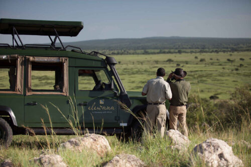 Safaris en Afrique