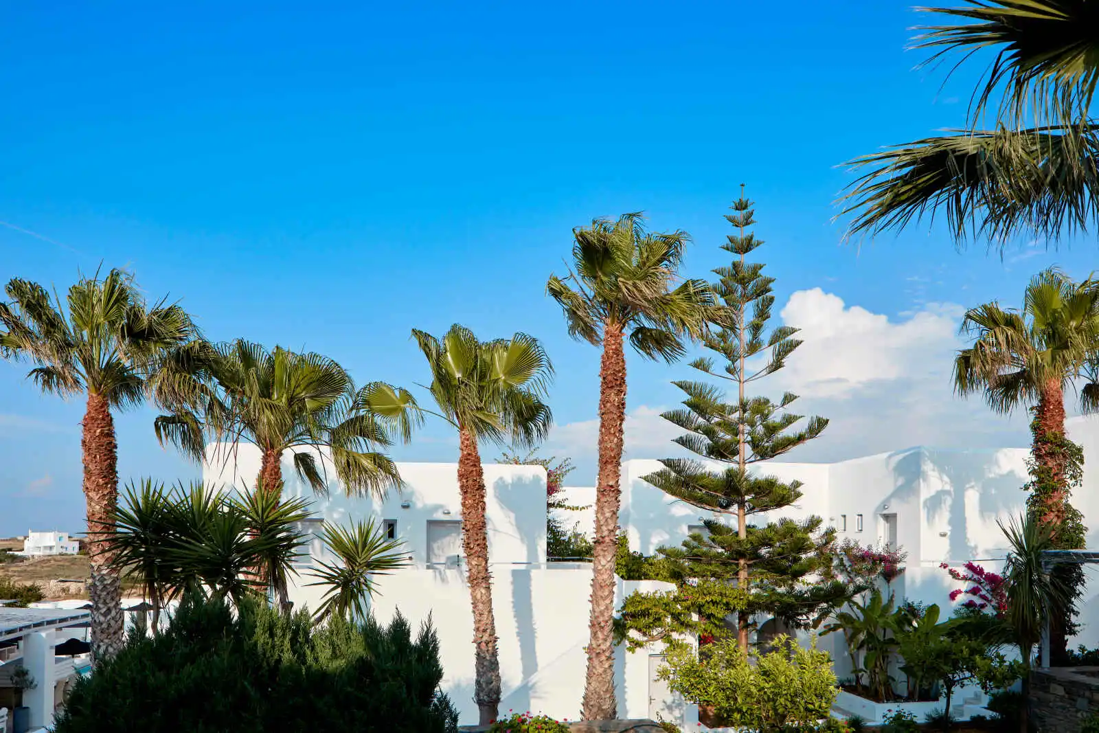Vue extérieure, Mr & Mrs White Hotel, Paros, Grèce.