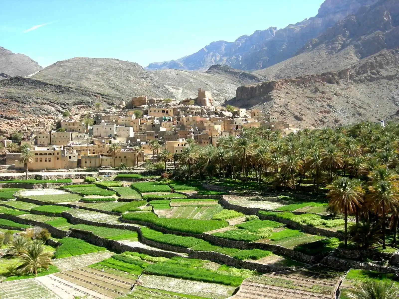 Oman : Expérience omanaise