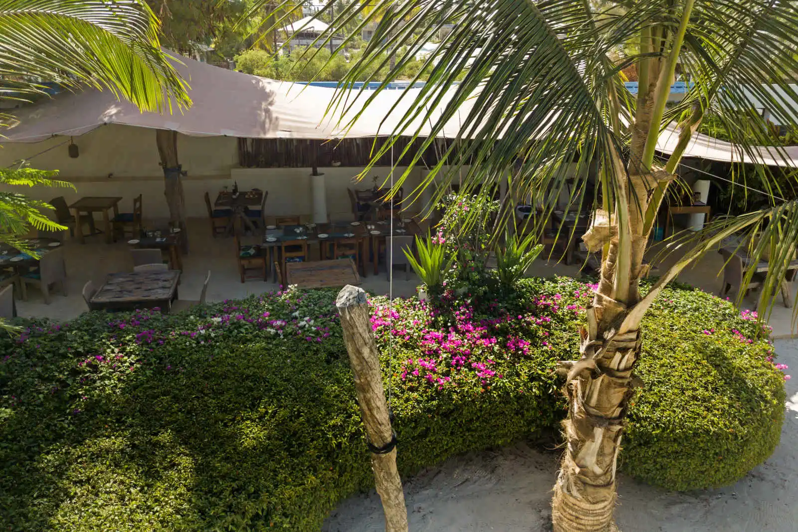Restaurant sous tente bédouine, Indigo Beach Resort, Zanzibar