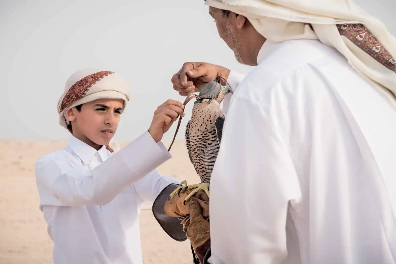 Qataris dans le désert, Qatar