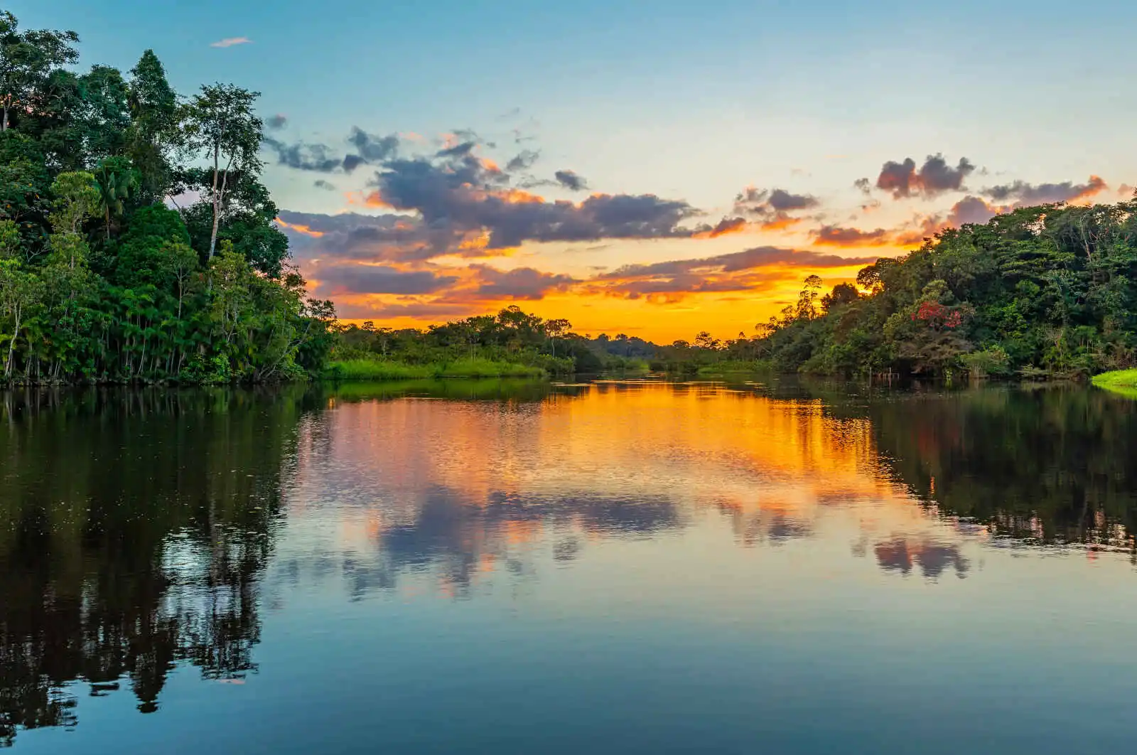 Coucher de soleil sur l'amazone, Equateur