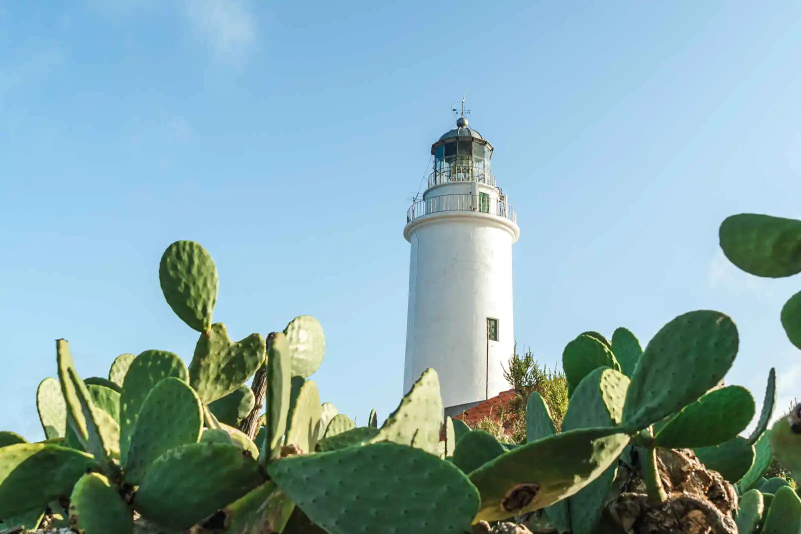 Cactus et phare de La Mola, Formentera, Îles Baléares, Espagne