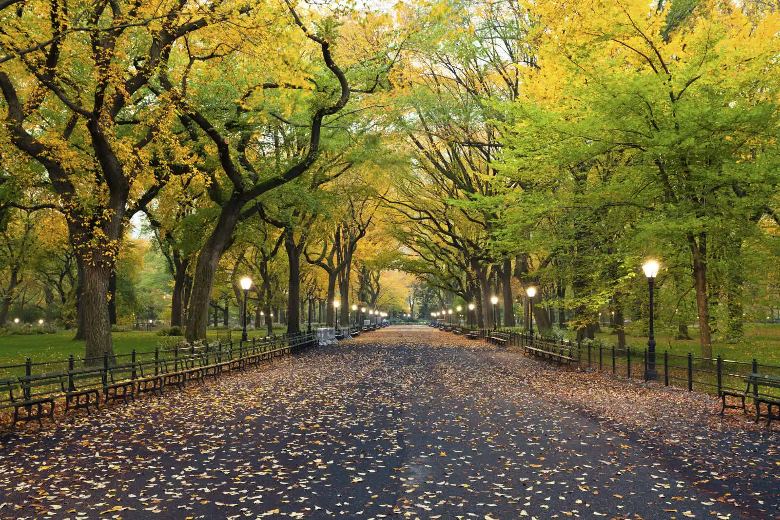 Central Park, New York, États-Unis