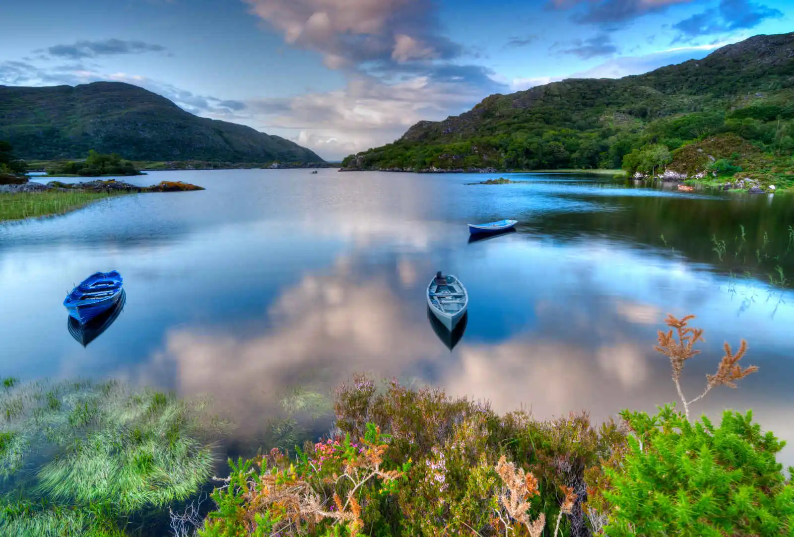 Parc National de Killarney, Irlande