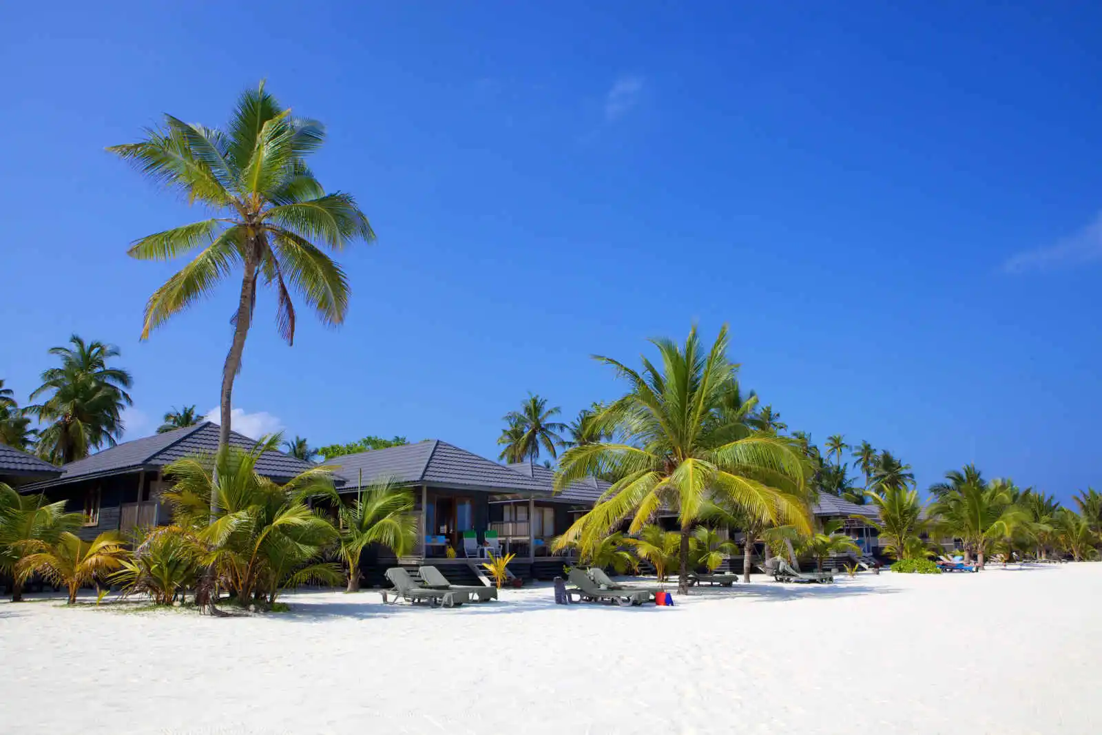 Villas plage, hôtel Kuredu Island Resort, atoll de Lhaviyani, Maldives