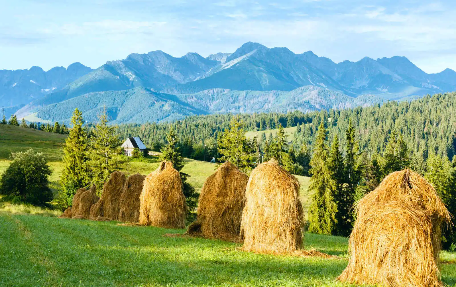 Village de montagne en été, mont Tatras, Pologne