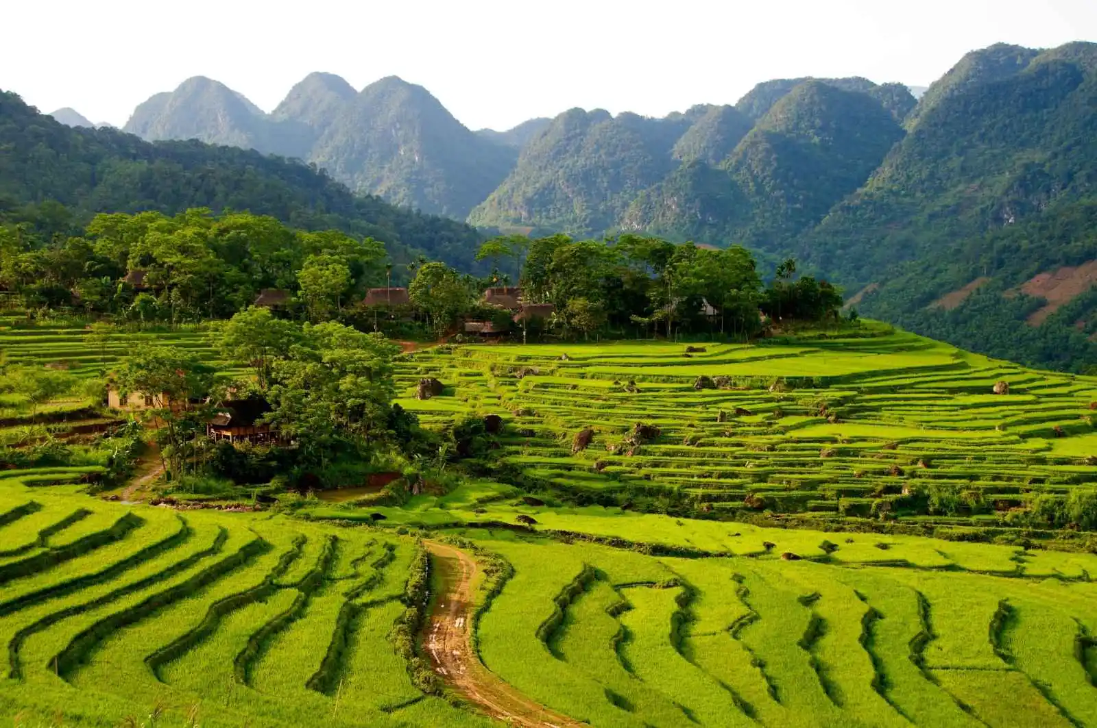 Rizieres en terrasse, Pu Luong Réserve naturelle, Thanh Hoa, Vietnam
