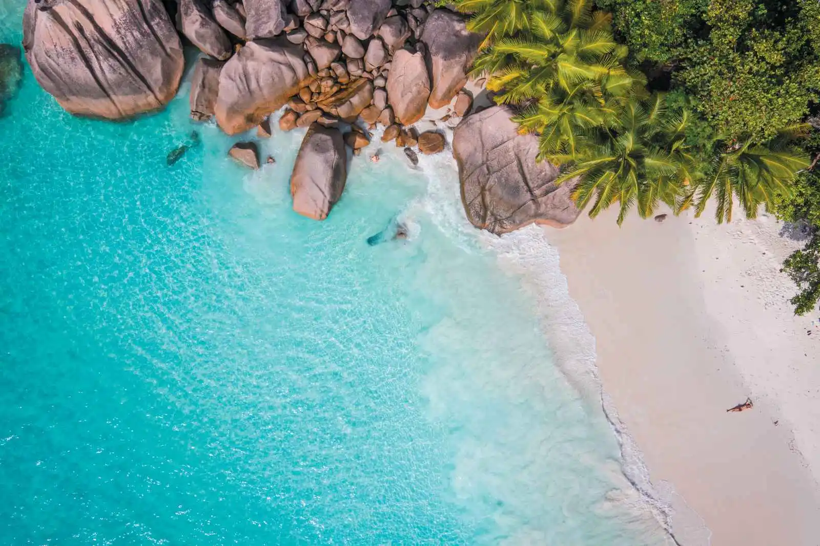 Plage de sable blanc, rochers, palmiers et mer turquoise, Seychelles
