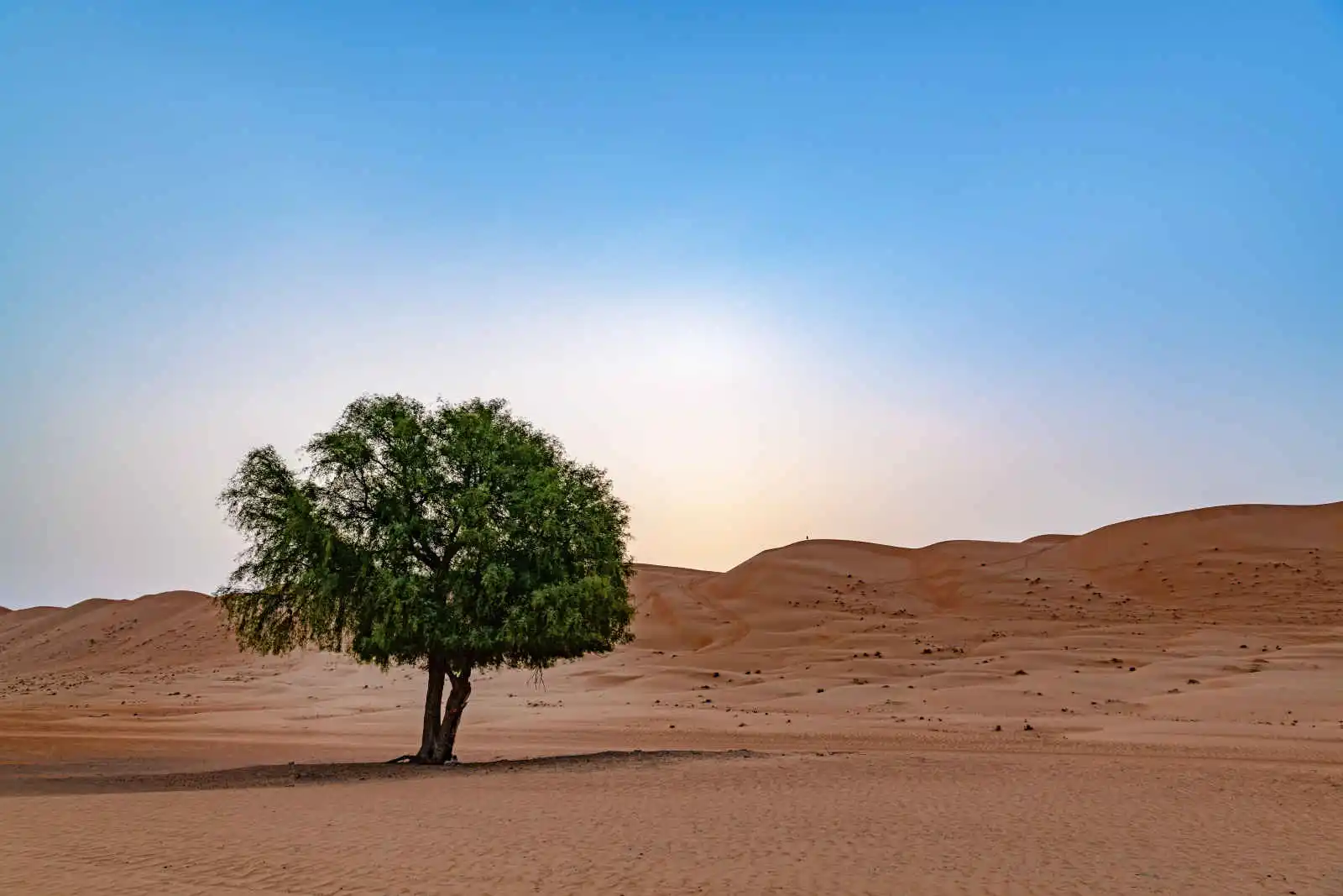 Lever de soleil, Wahiba Sands, Oman