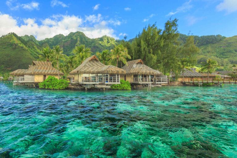Polynésie : Tahiti, îles de la Société & îles Tuamotu