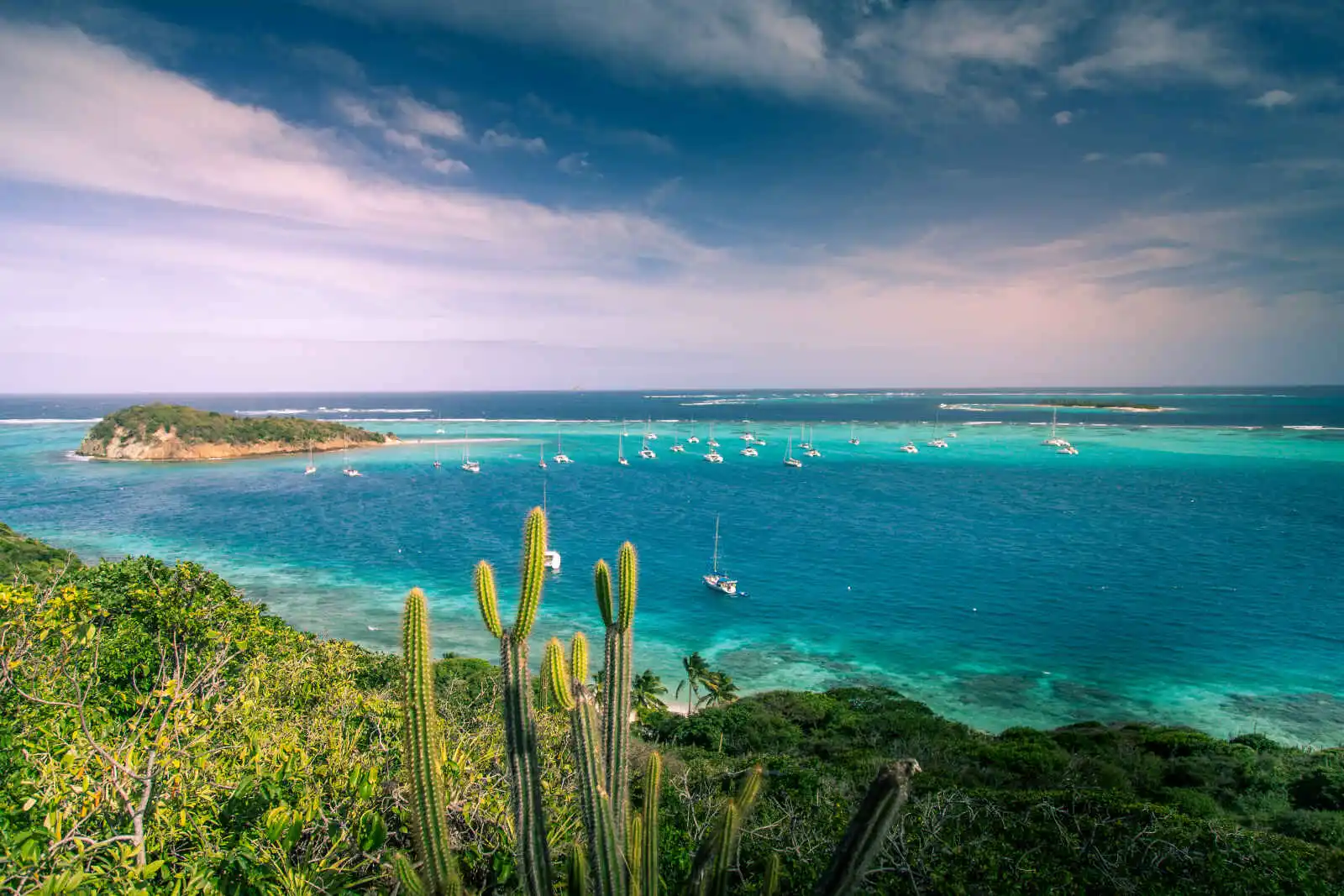 Tobago Cays, Saint-Vincent-et-les-Grenadines, Antilles, Caraïbes