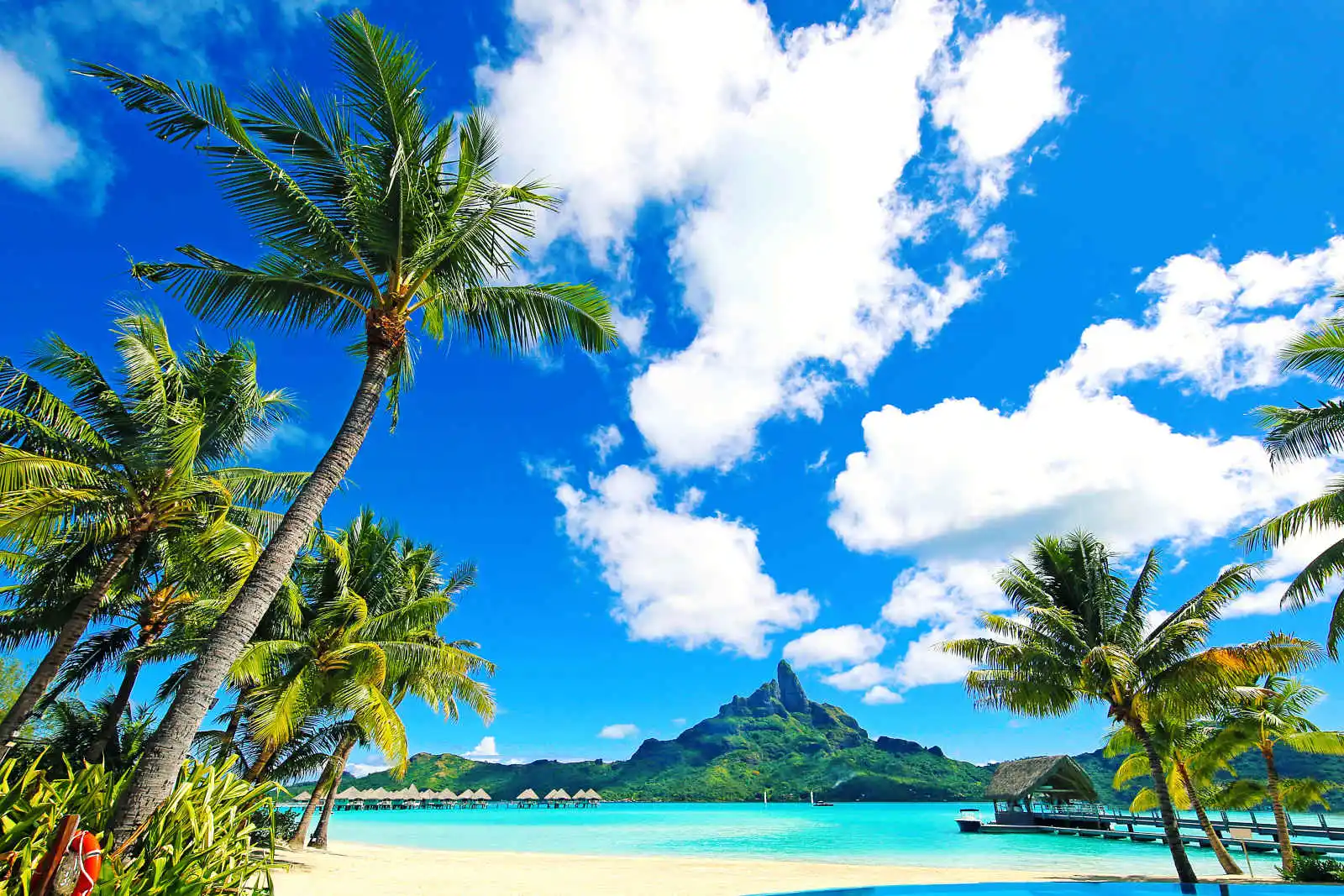 Palmiers, plage, pilotis et montagne, Bora Bora, Polynésie française