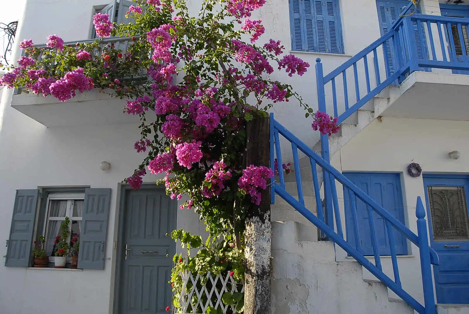 Maison fleurie à Mykonos, Grèce