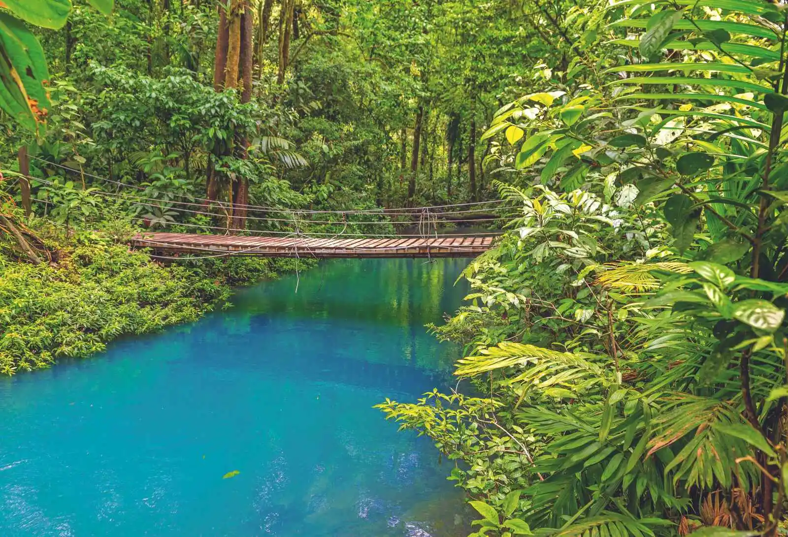 Rioceleste, parc national Tenorio