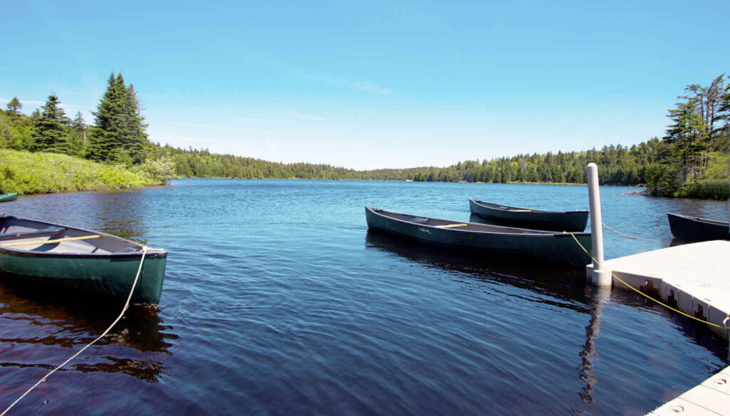 Que faire au Nouveau Brunswick ?