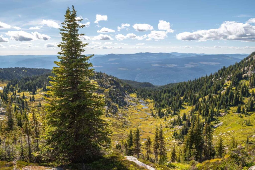 Le Parc provincial de Wells Gray au Canada