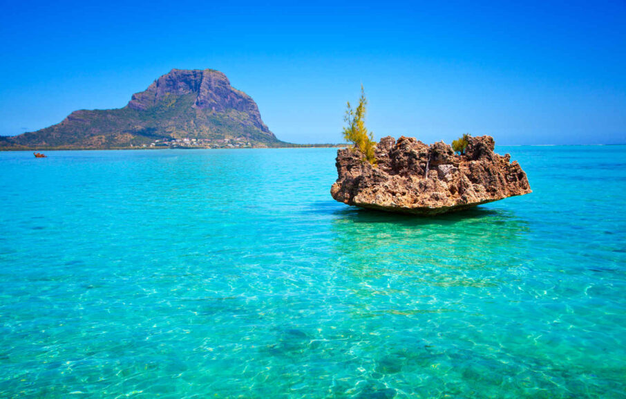 Ile aux Benitiers Ile Maurice