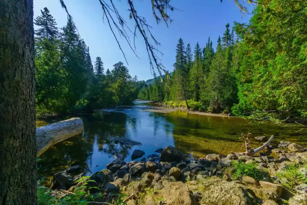 Le Parc National de la Gaspésie au Canada