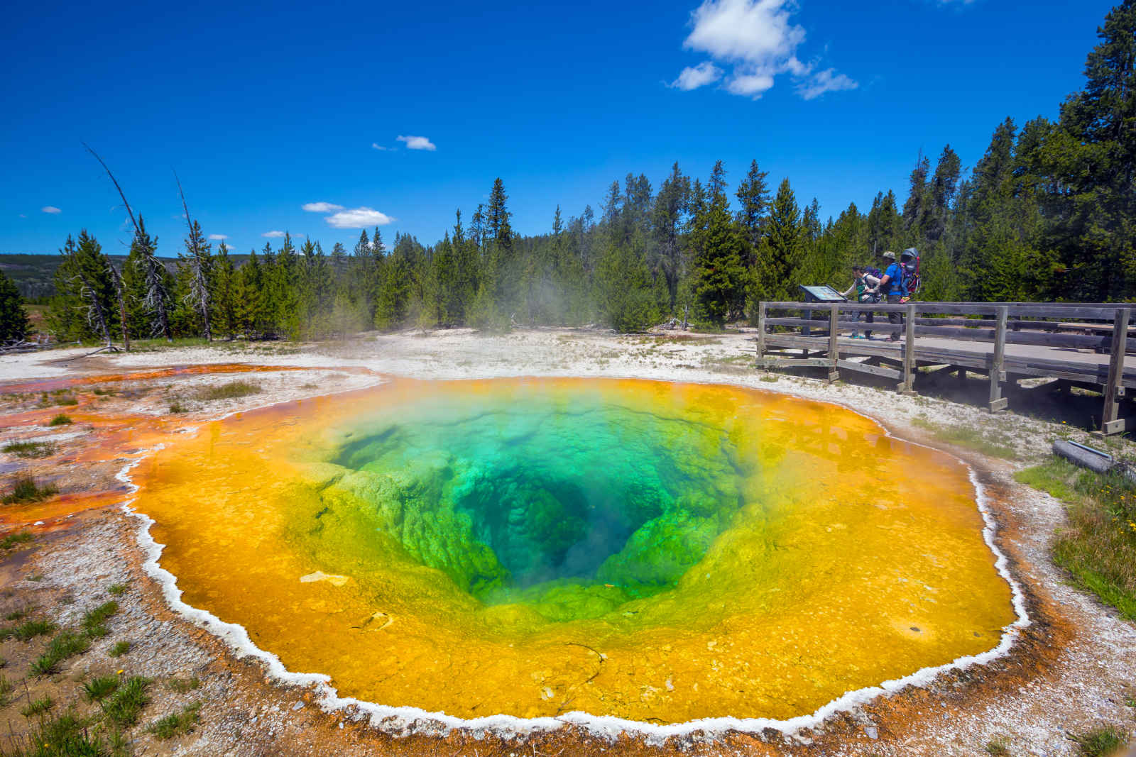 Parc National de Yellowstone