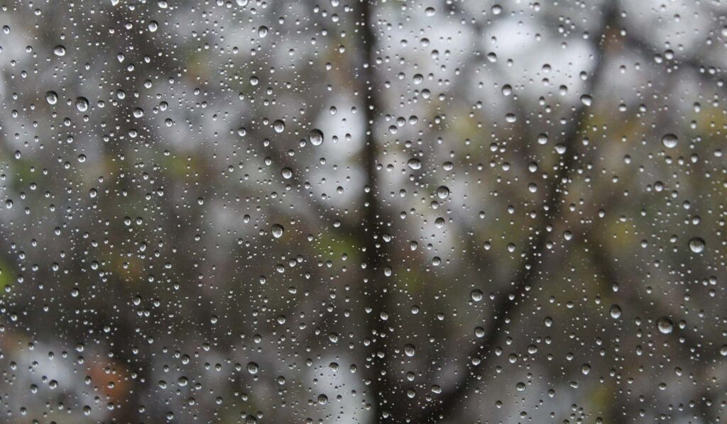 Où partir en novembre ?