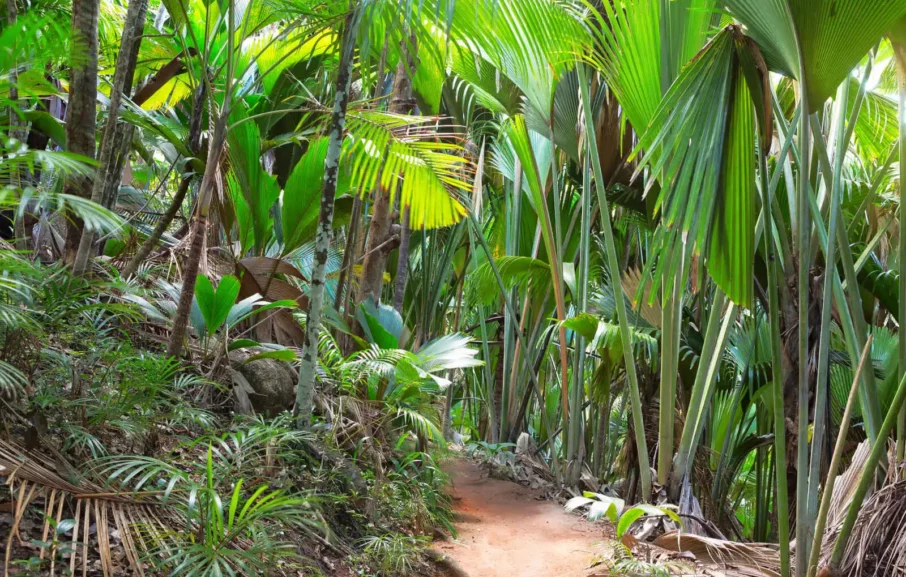 Travel_Lab_Prasli_000103793