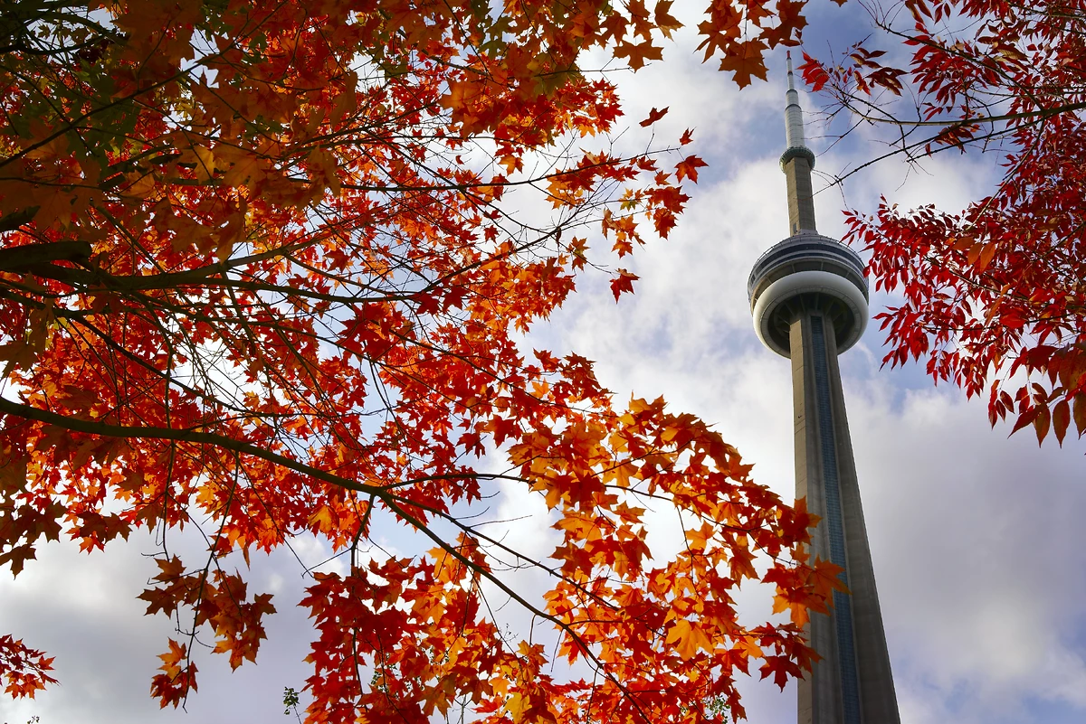 Tour CN en automne, Toronto, Ontario, Canada