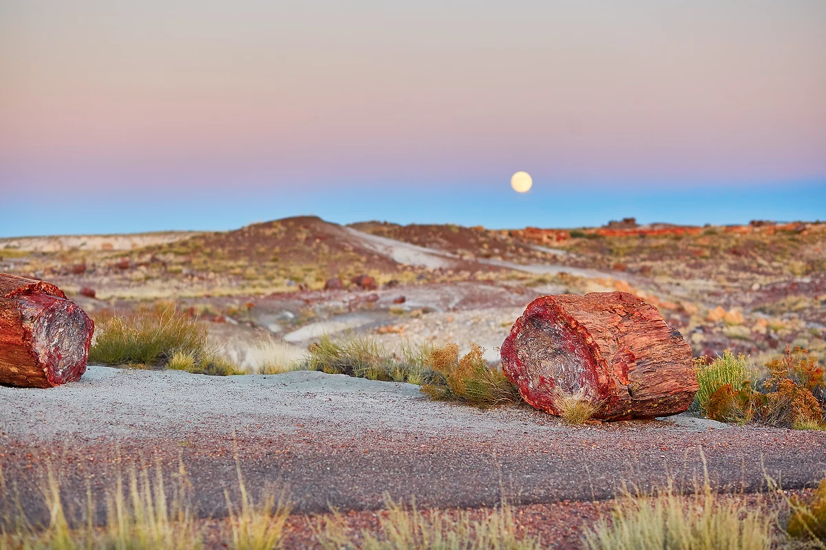 Parc national de Petrified forest, Arizona