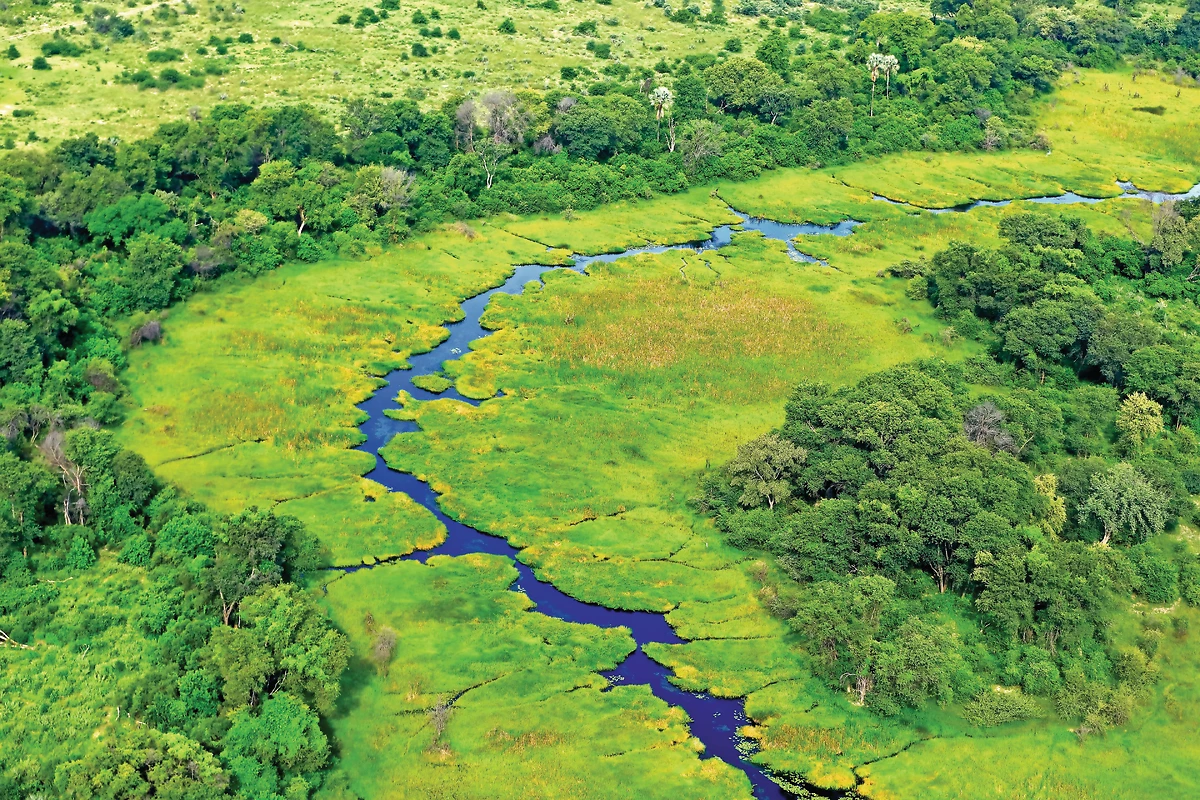 Vue aérienne du delta de l'Okavango, Botswana