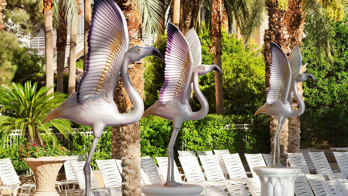 Pool Beach club, Hotel Flamingo, Las Vegas, Nevada, Etats Unis