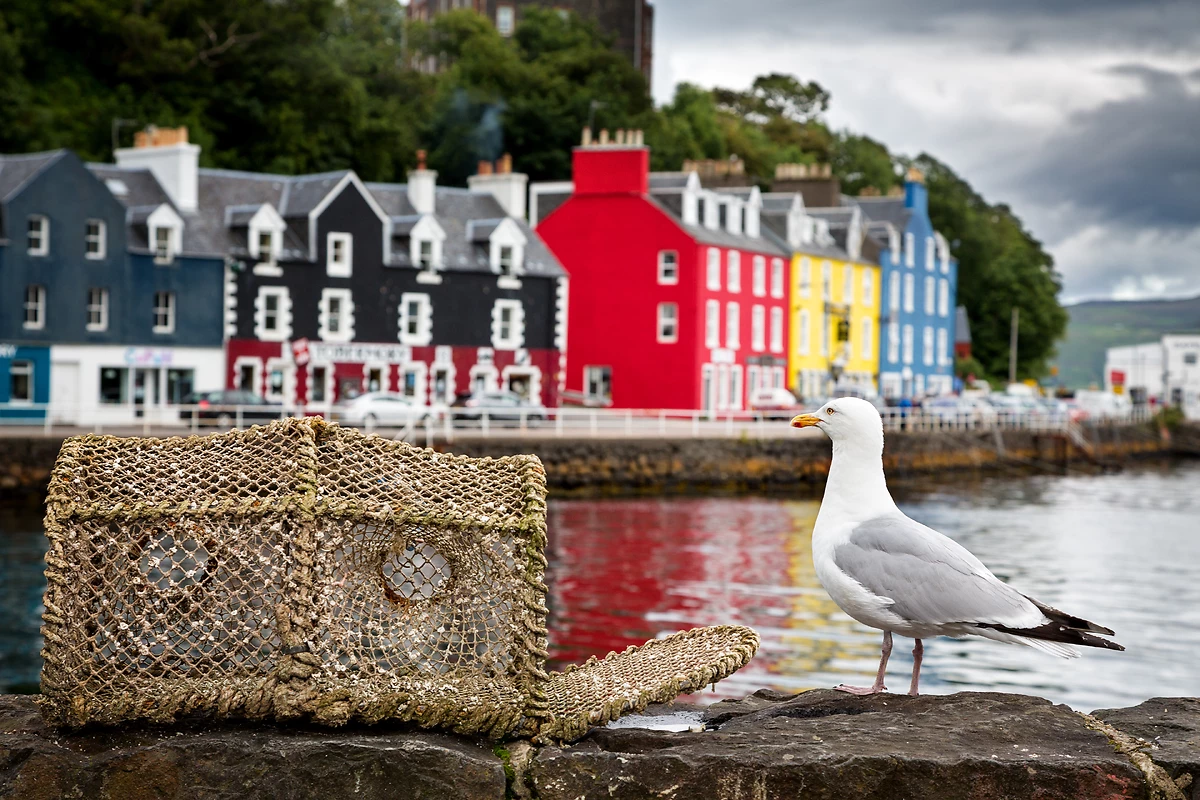 Port de Tobermory, île de Mull, Écosse