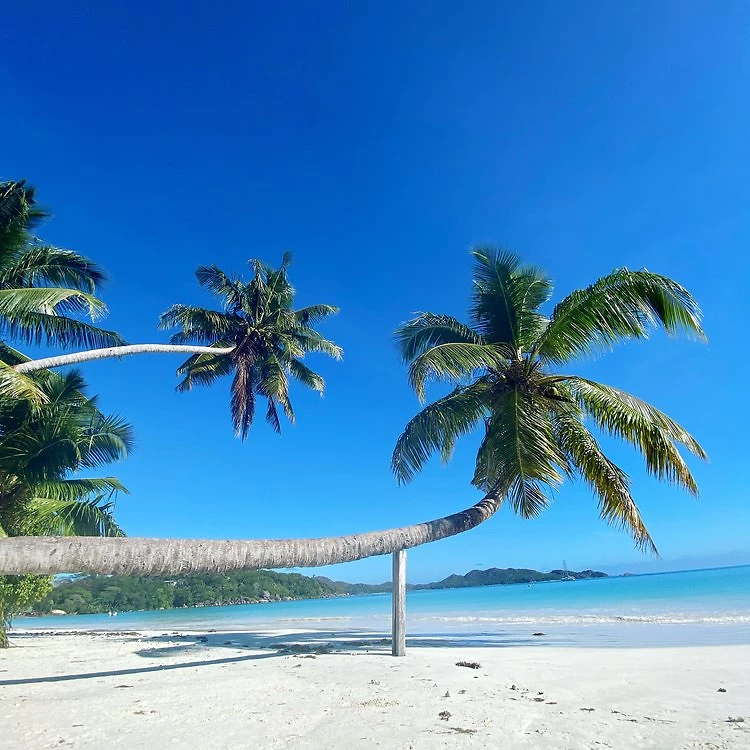 Plage de l'hôtel, Cote d'Or Footprints
