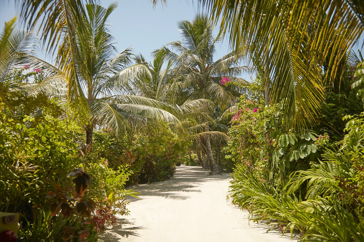 Jardins, Sun Siyam Iru Fushi