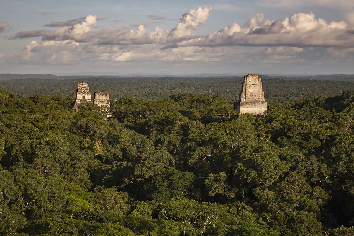 Vue aérienne du site de Tikal, Guatemala